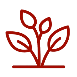 Design & Plantings